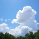 Ciel bleu avec des nuages blancs et des arbres verts.
