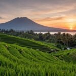 Rizieres luxuriantes de Bali au coucher du soleil.