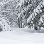 Paysage enneigé avec chutes de neige.