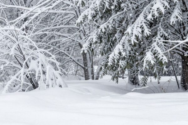 Paysage enneigé avec chutes de neige.